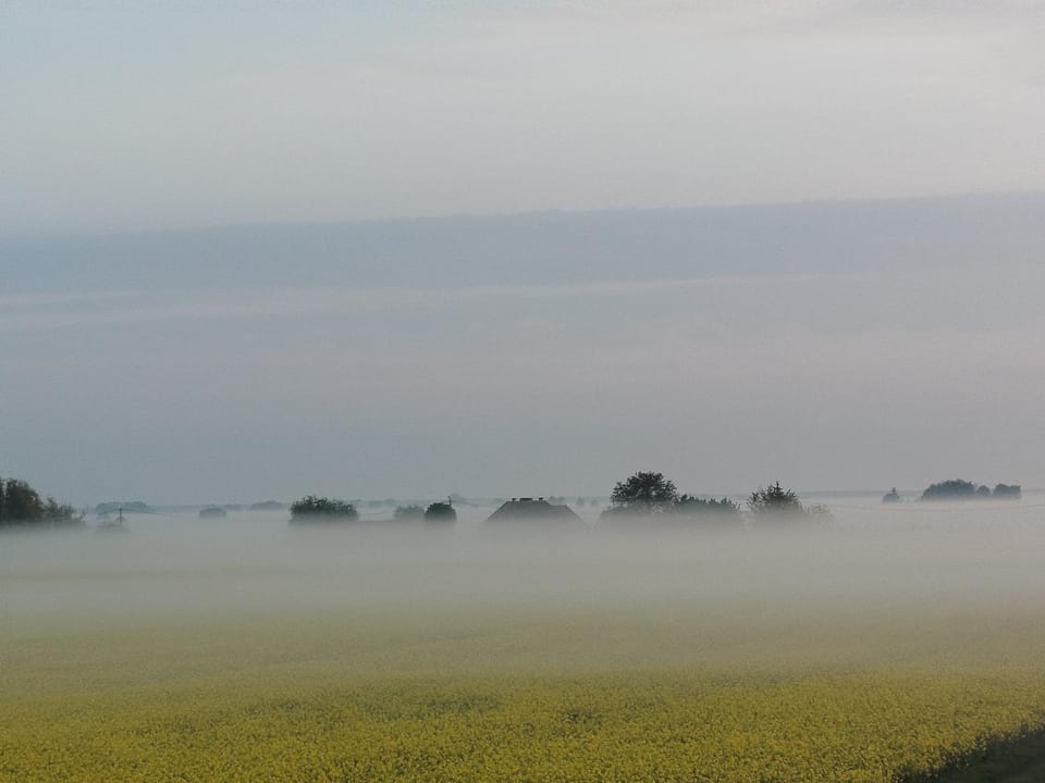 Tropikalna Odnowa Bed and Breakfast in Greater Poland Voivodeship