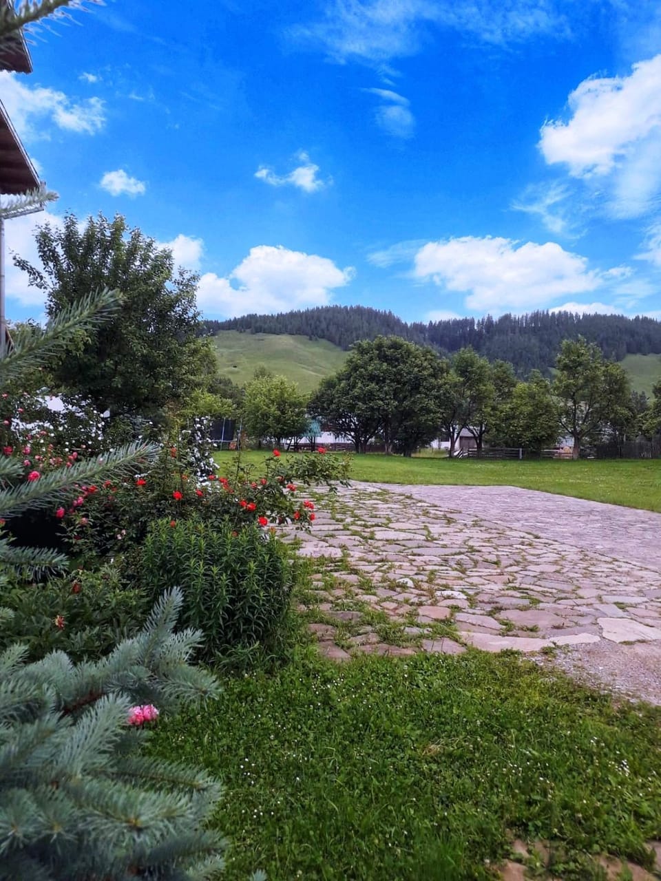 Natural landscape, Garden