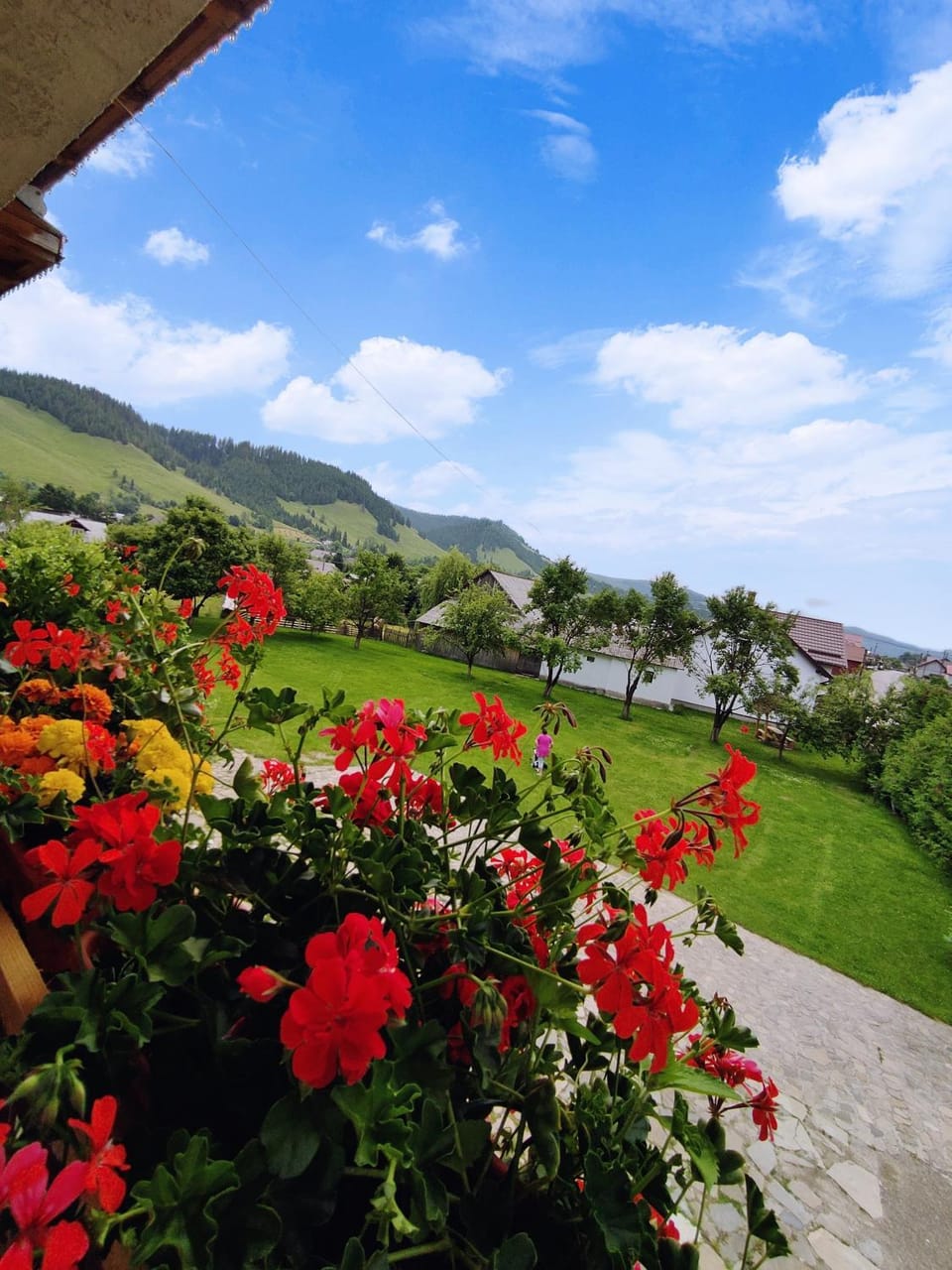 Garden, Garden view, Mountain view
