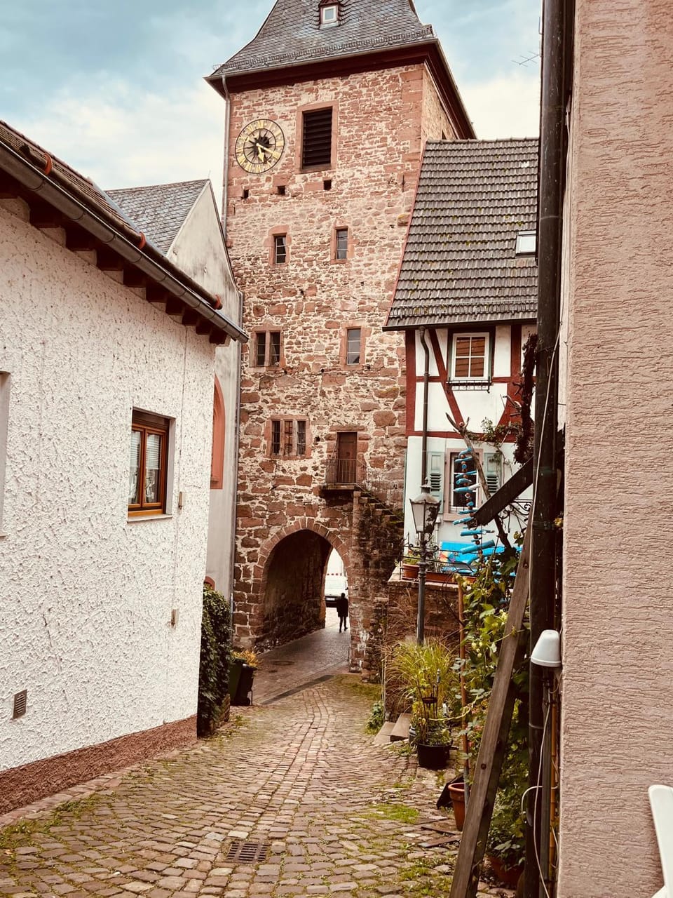 Natur und Neckarblick bei Heidelberg Apartment in Hesse