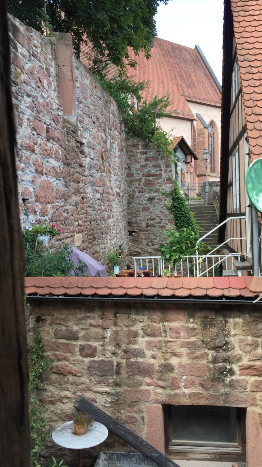 Natur und Neckarblick bei Heidelberg Apartment in Hesse