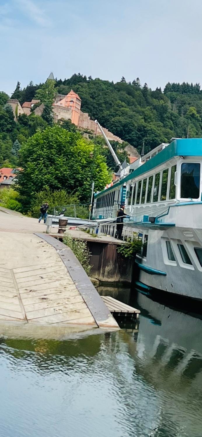 Natur und Neckarblick bei Heidelberg Apartment in Hesse
