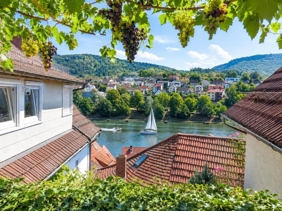 Natur und Neckarblick bei Heidelberg Apartment in Hesse