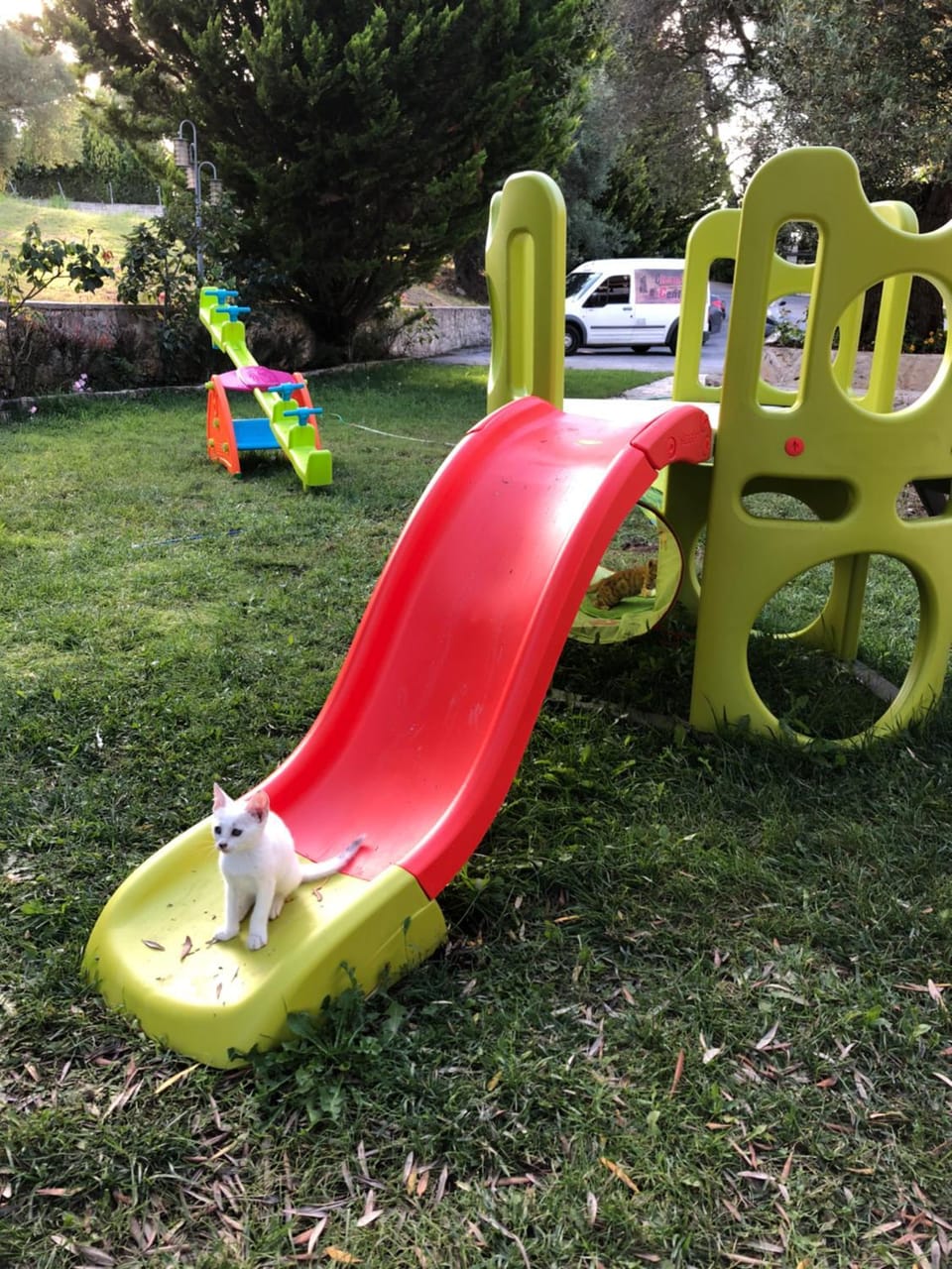 Children play ground, children