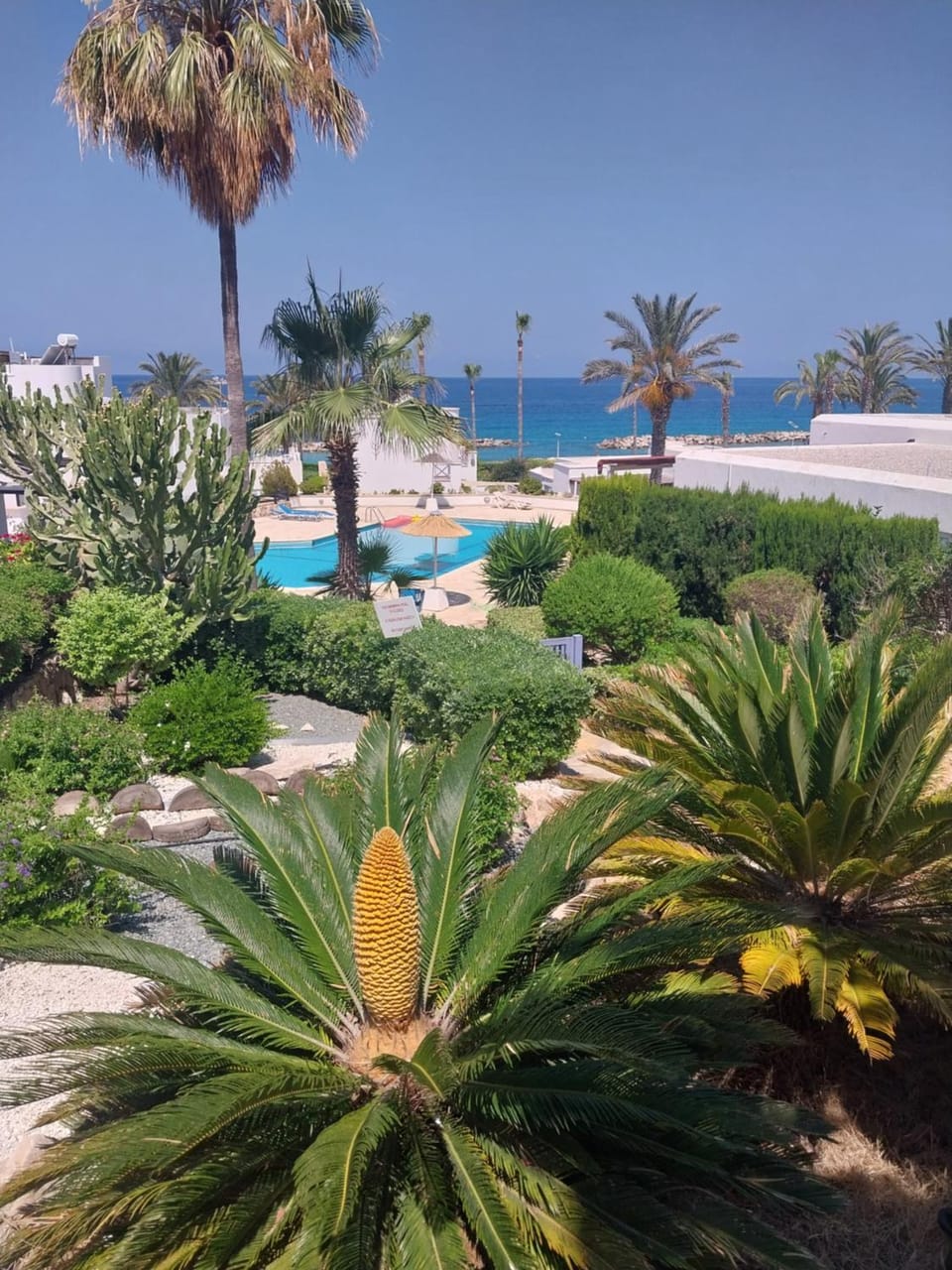 Natural landscape, Pool view