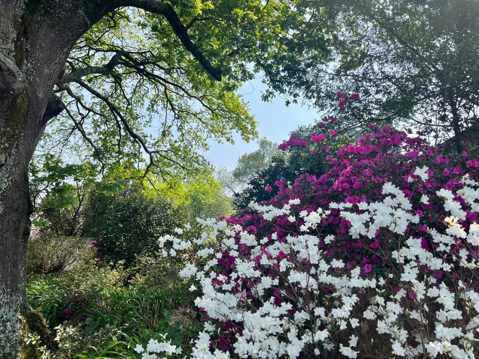 Gowan Valley Guest Farm Bed and Breakfast in KwaZulu-Natal