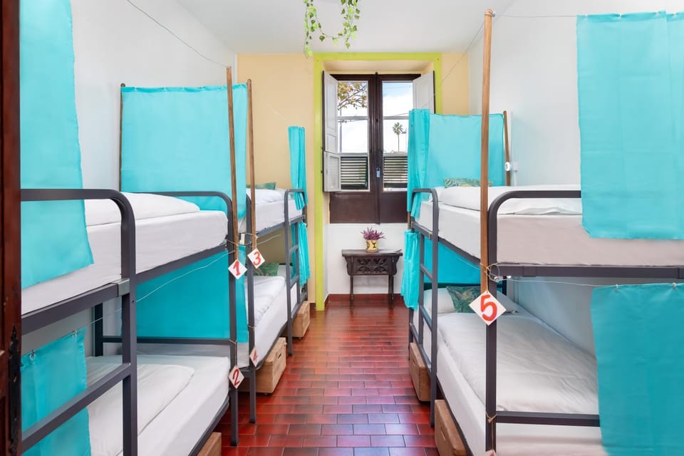 Photo of the whole room, Decorative detail, bunk bed