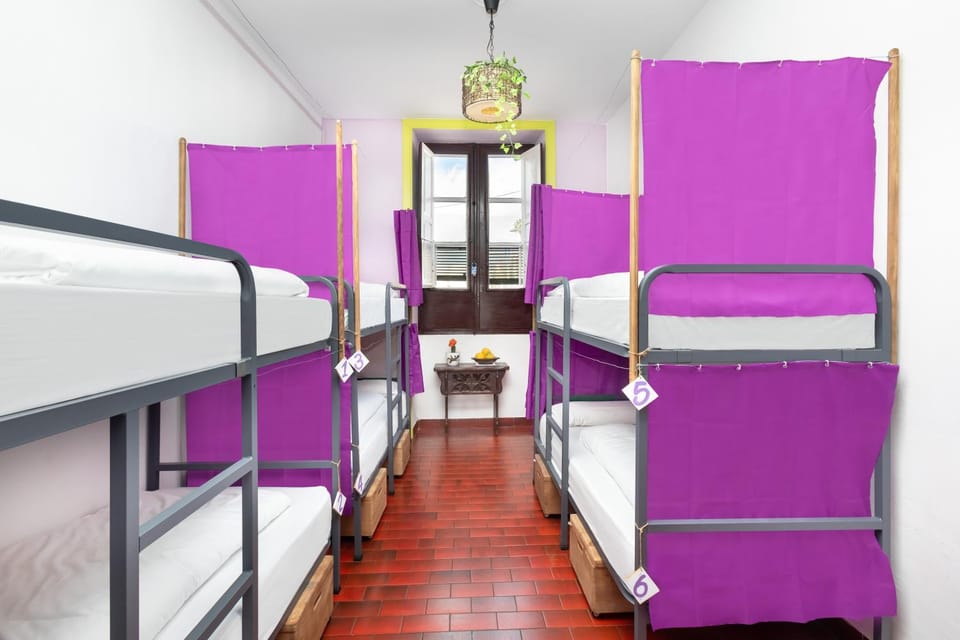 Photo of the whole room, Decorative detail, bunk bed