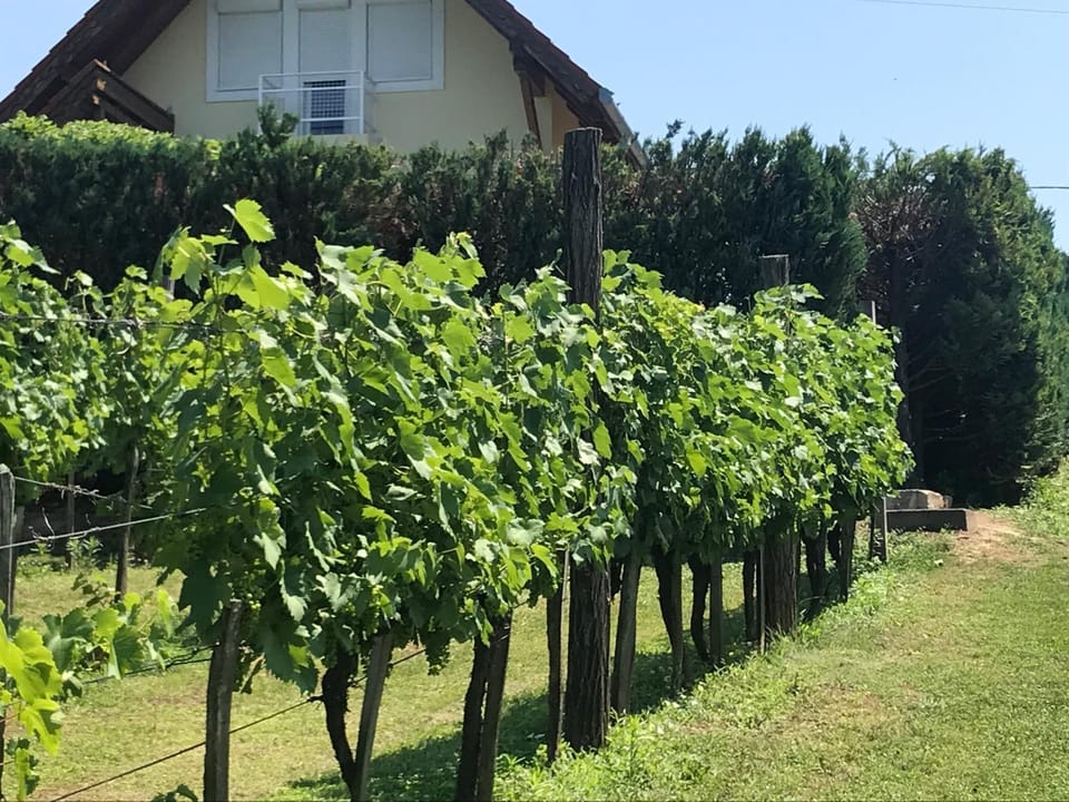 Farkas Apartman Rezi House in Hungary