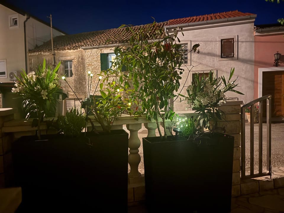 Night, Garden view