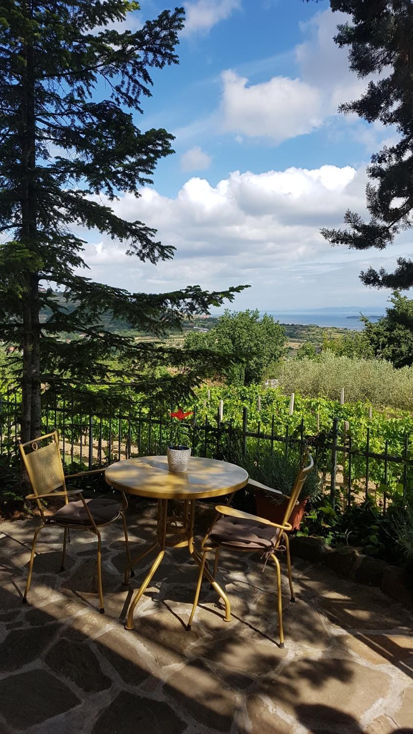 View (from property/room), Balcony/Terrace