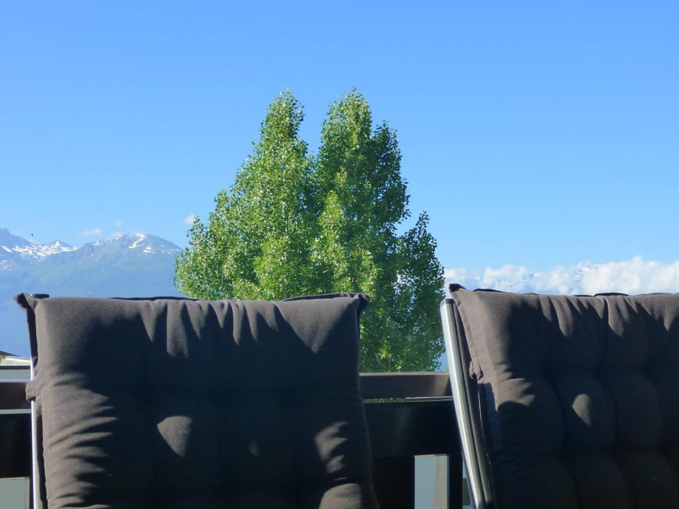 Résidence Les Mandarins D Apartment in Crans-Montana