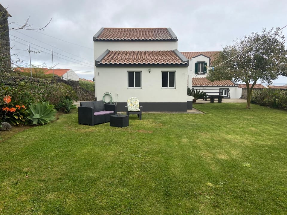 Natural landscape, Garden, Seating area