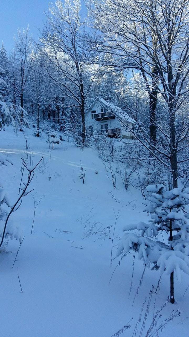 Property building, Day, Winter, On site, Mountain view