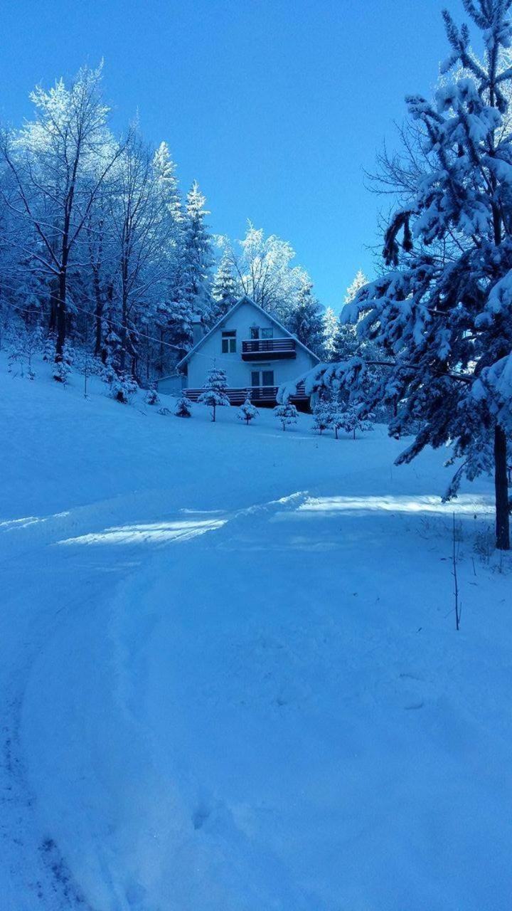 Day, Winter, On site, Mountain view, Mountain view