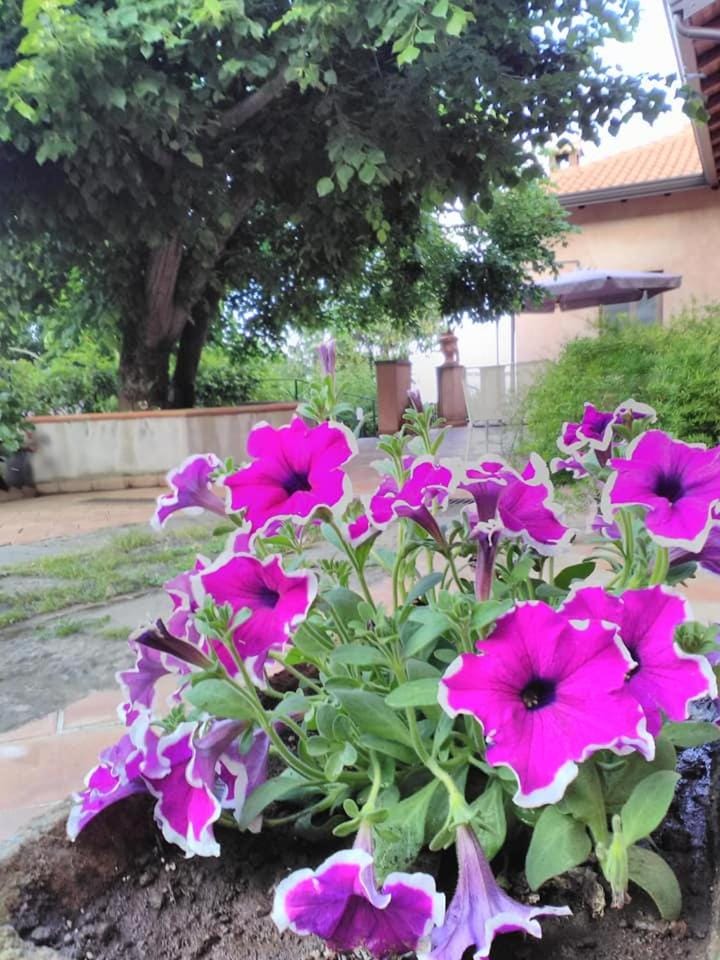 La corte di Bafè B&B "Slow Life" Bed and Breakfast in Sicily