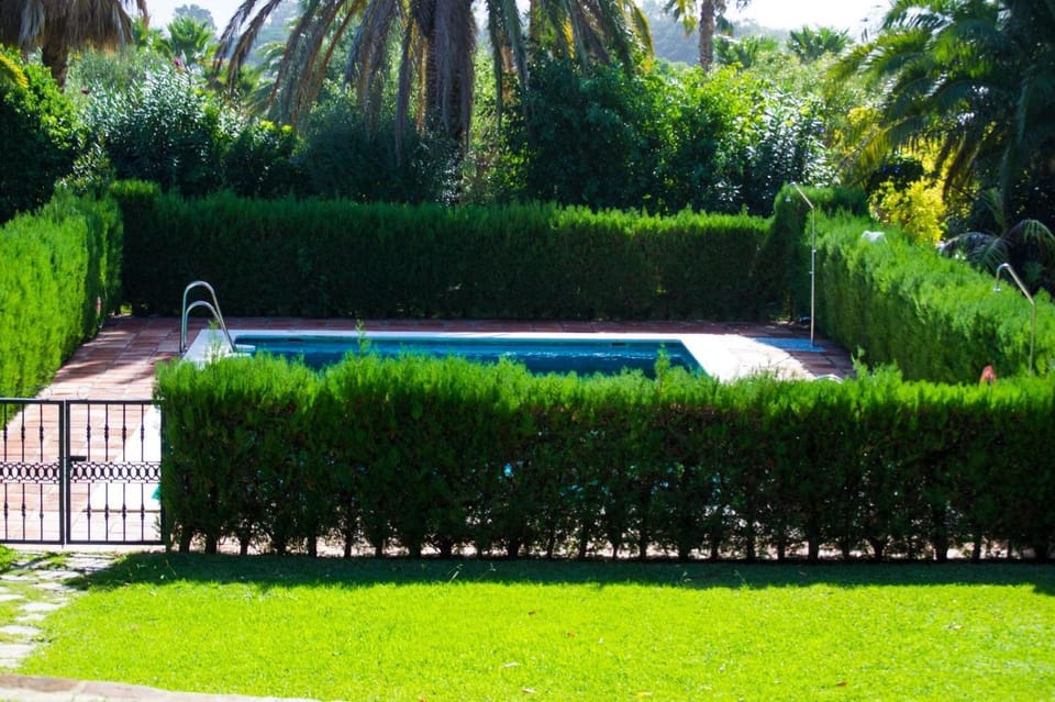 Pool view