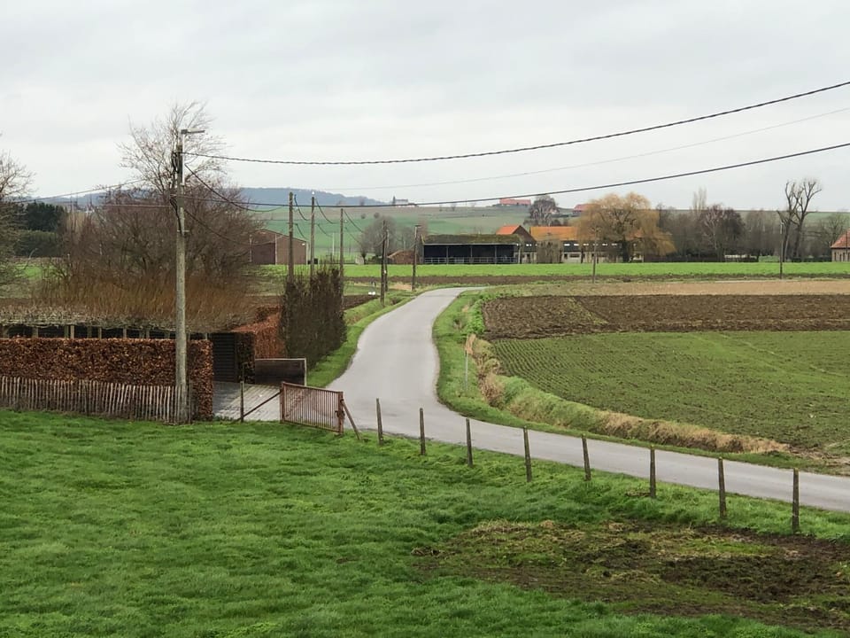 'T Wolvennest Bed and Breakfast in Flanders