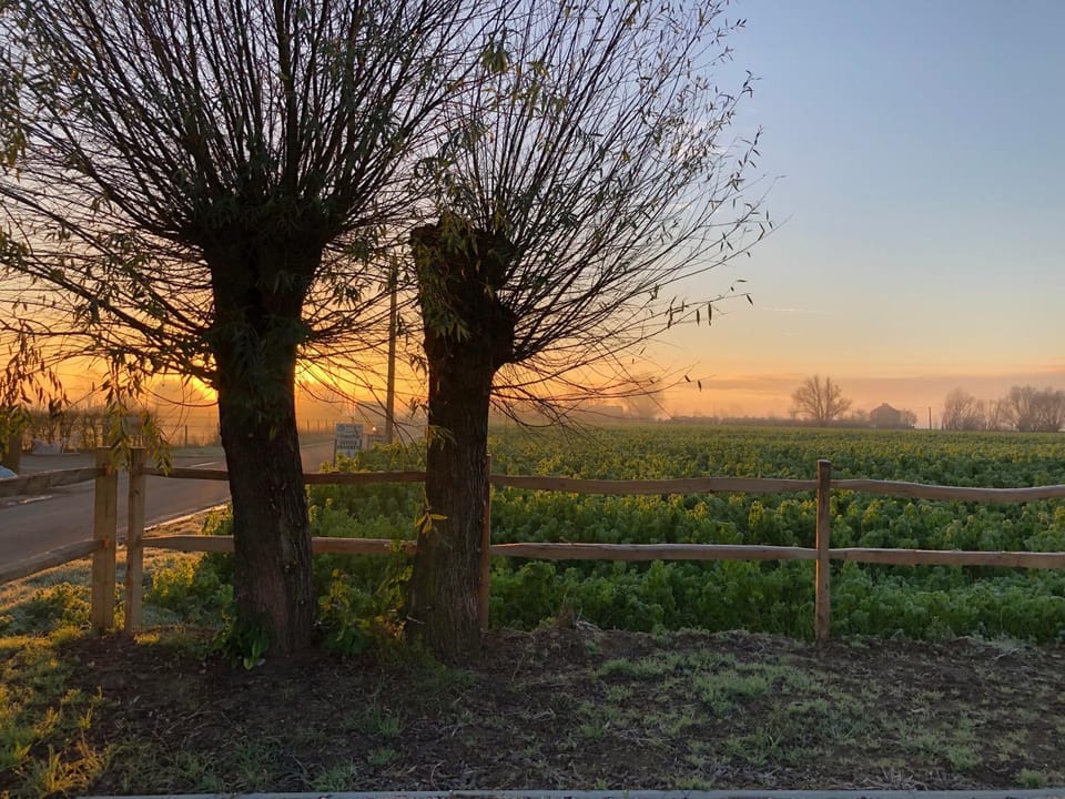 'T Wolvennest Bed and Breakfast in Flanders