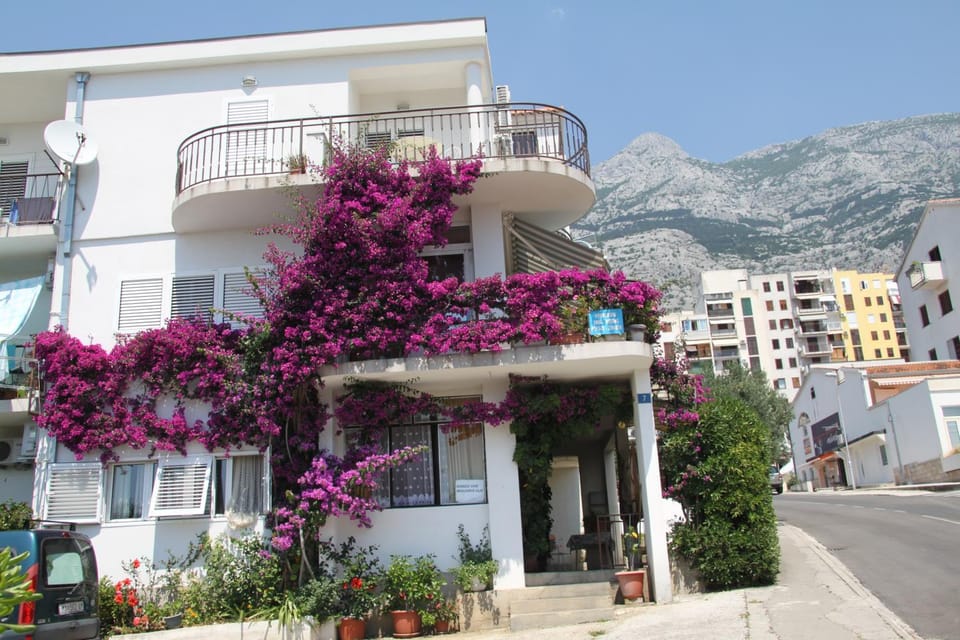 Property building, Spring, Day, Neighbourhood, Street view