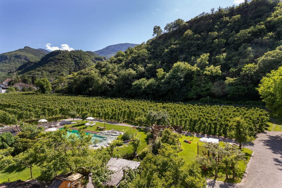 Garden view, Landmark view, Mountain view, Pool view