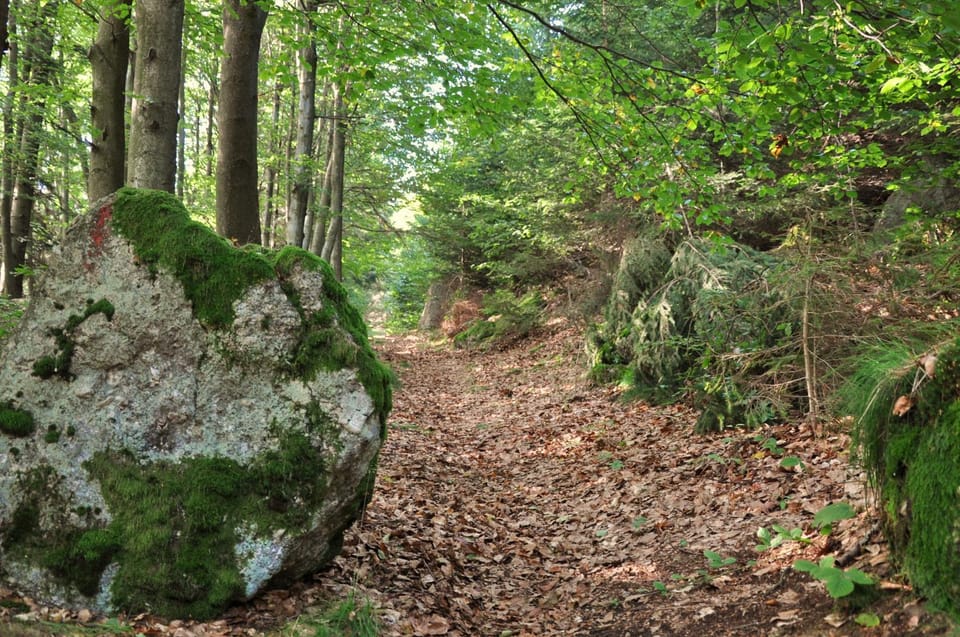 Natural landscape, Hiking