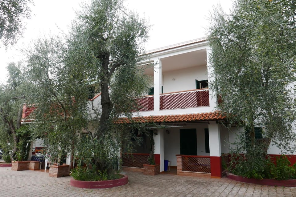 Property building, Facade/entrance, Garden, Garden view