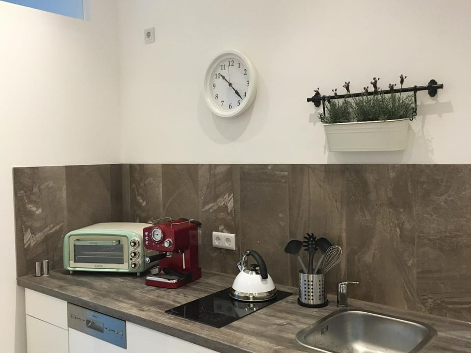 Coffee/tea facilities, Kitchen or kitchenette, Photo of the whole room, Decorative detail, minibar, stove, toaster