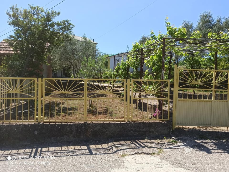 Property building, Garden