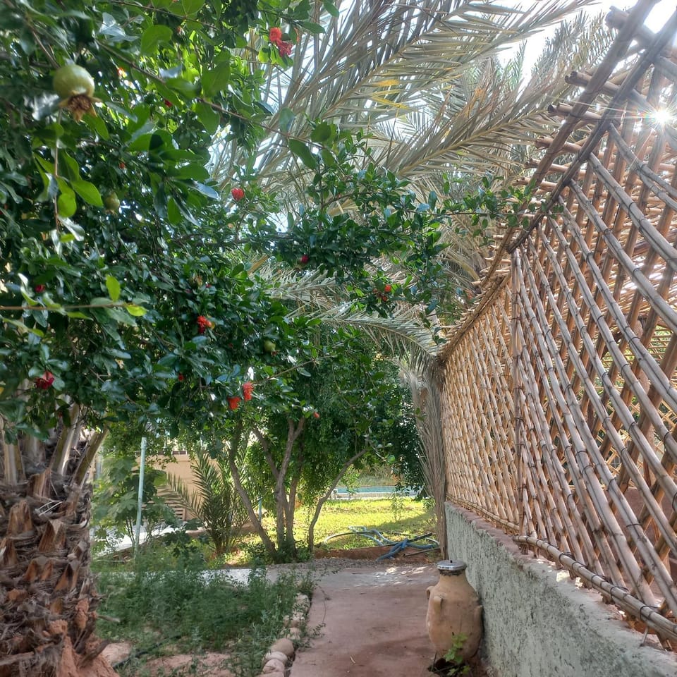 Oasispalmares Villa in Morocco