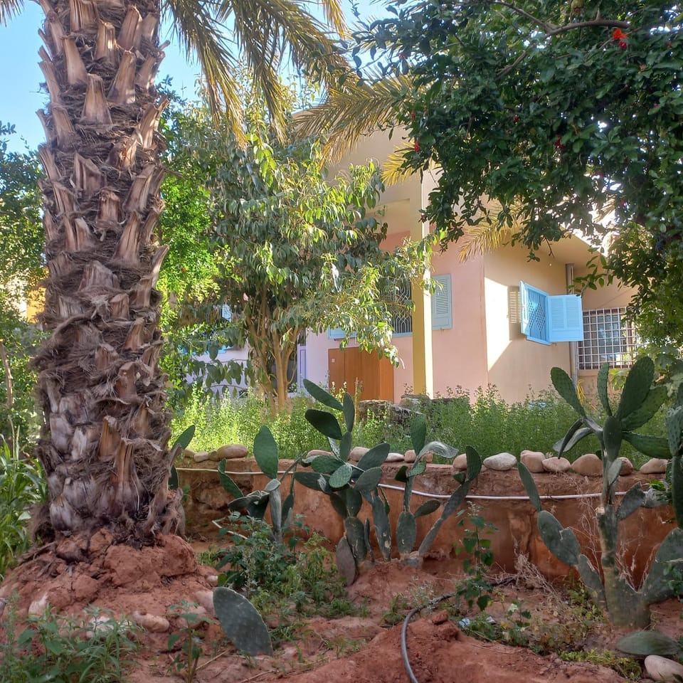 Oasispalmares Villa in Morocco