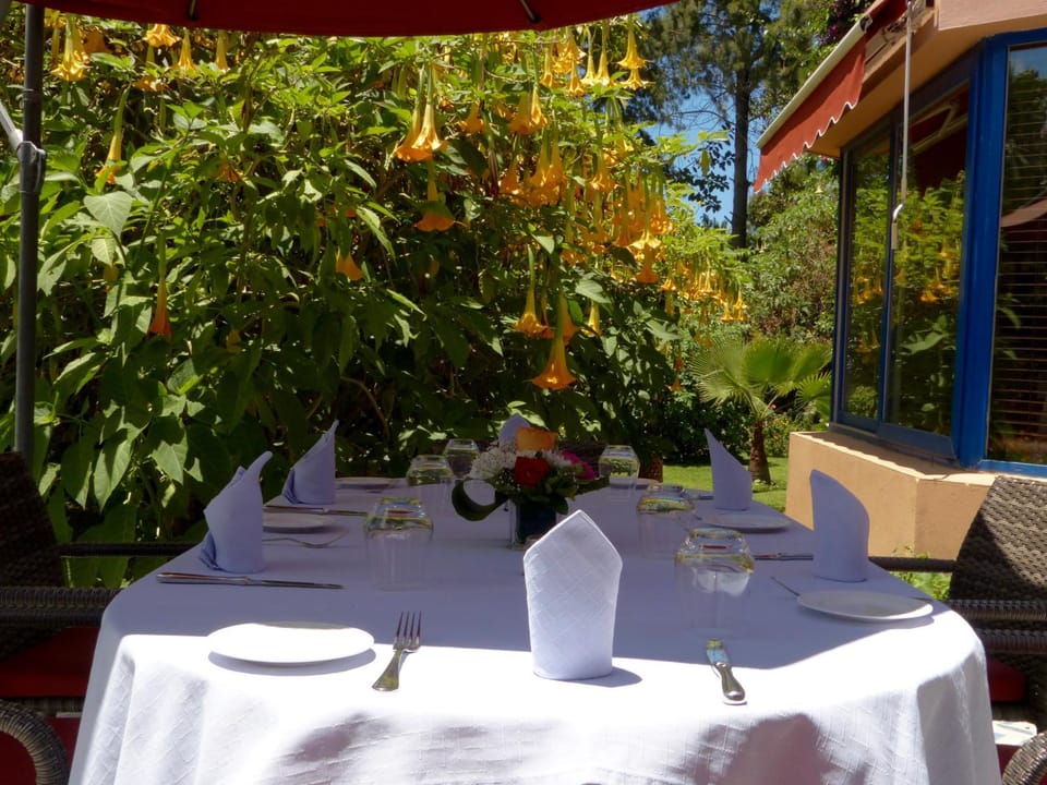 Patio, Restaurant/places to eat