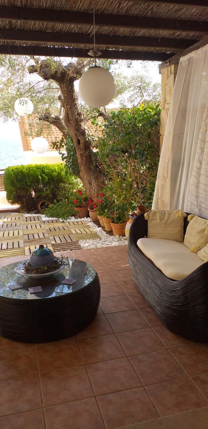 Patio, Garden view