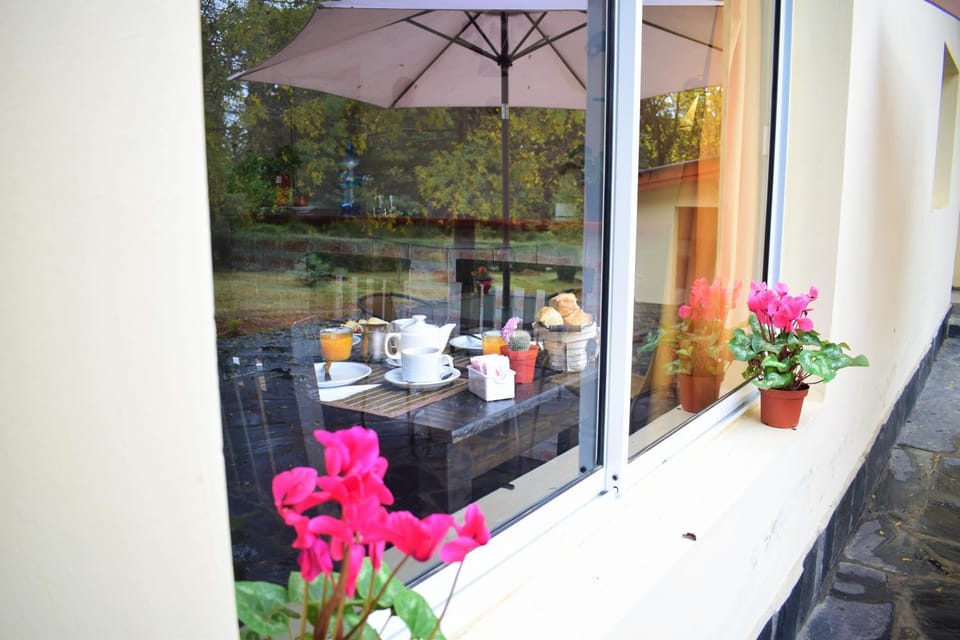 Patio, Day, Natural landscape, Food and drinks, Dining area