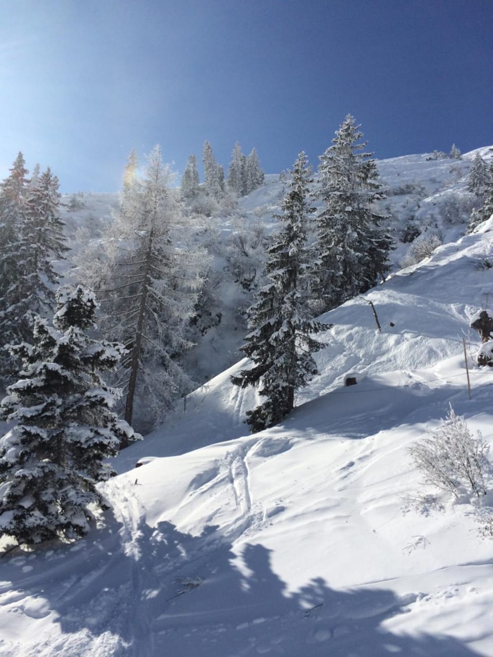 Skiing