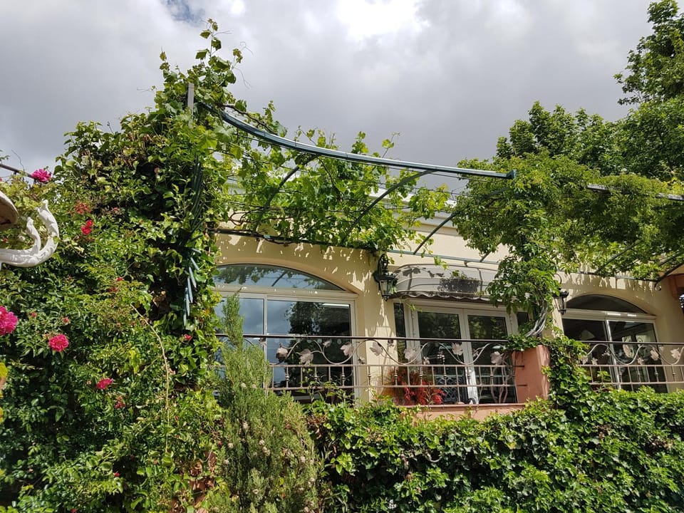 Restaurant/places to eat, Garden