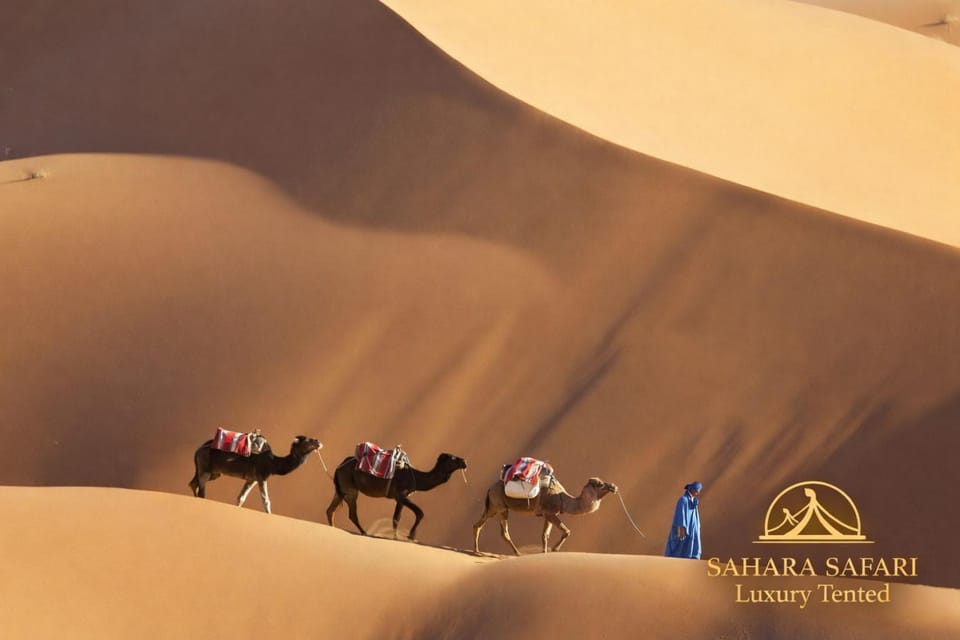 Sahara Safari Luxury Camp & Activities Luxury tent in Morocco