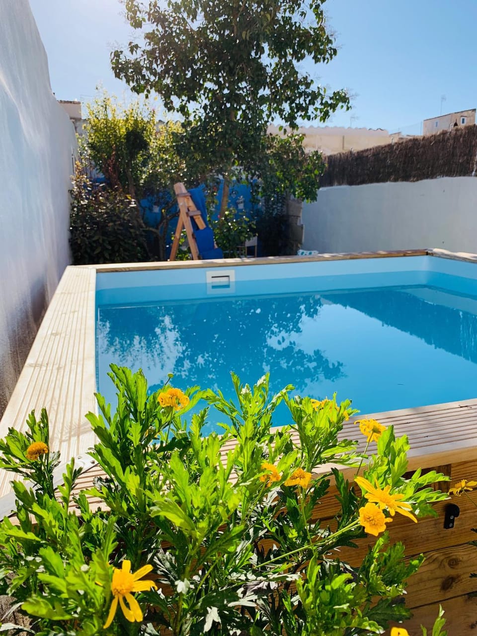 Swimming pool, Swimming pool