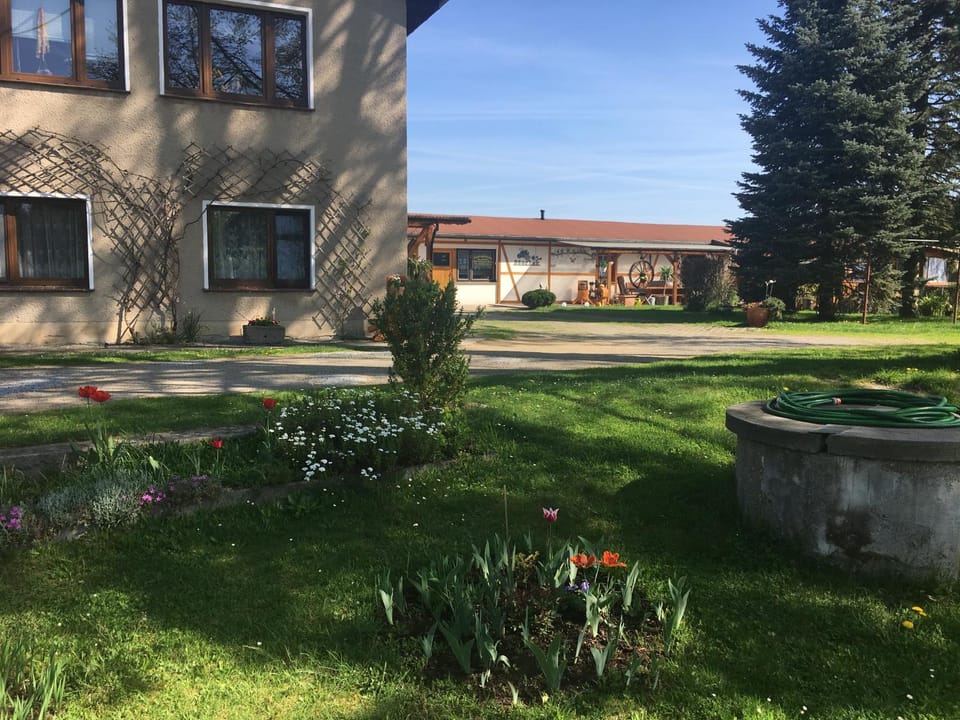 Area and facilities