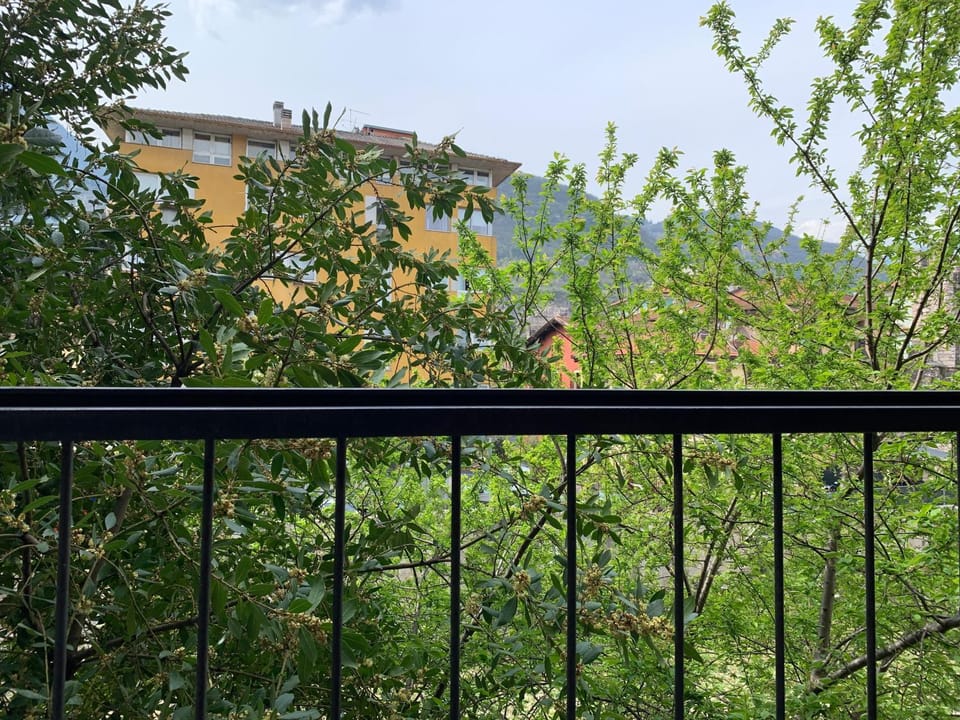 Balcony/Terrace, Garden view