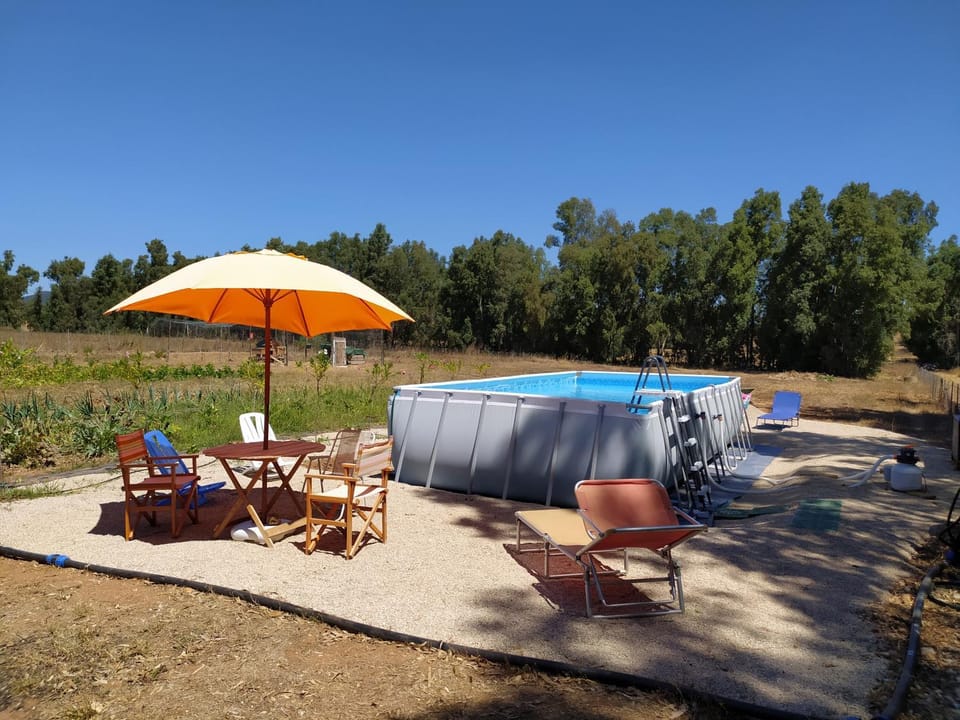 Garden, Pool view, Swimming pool