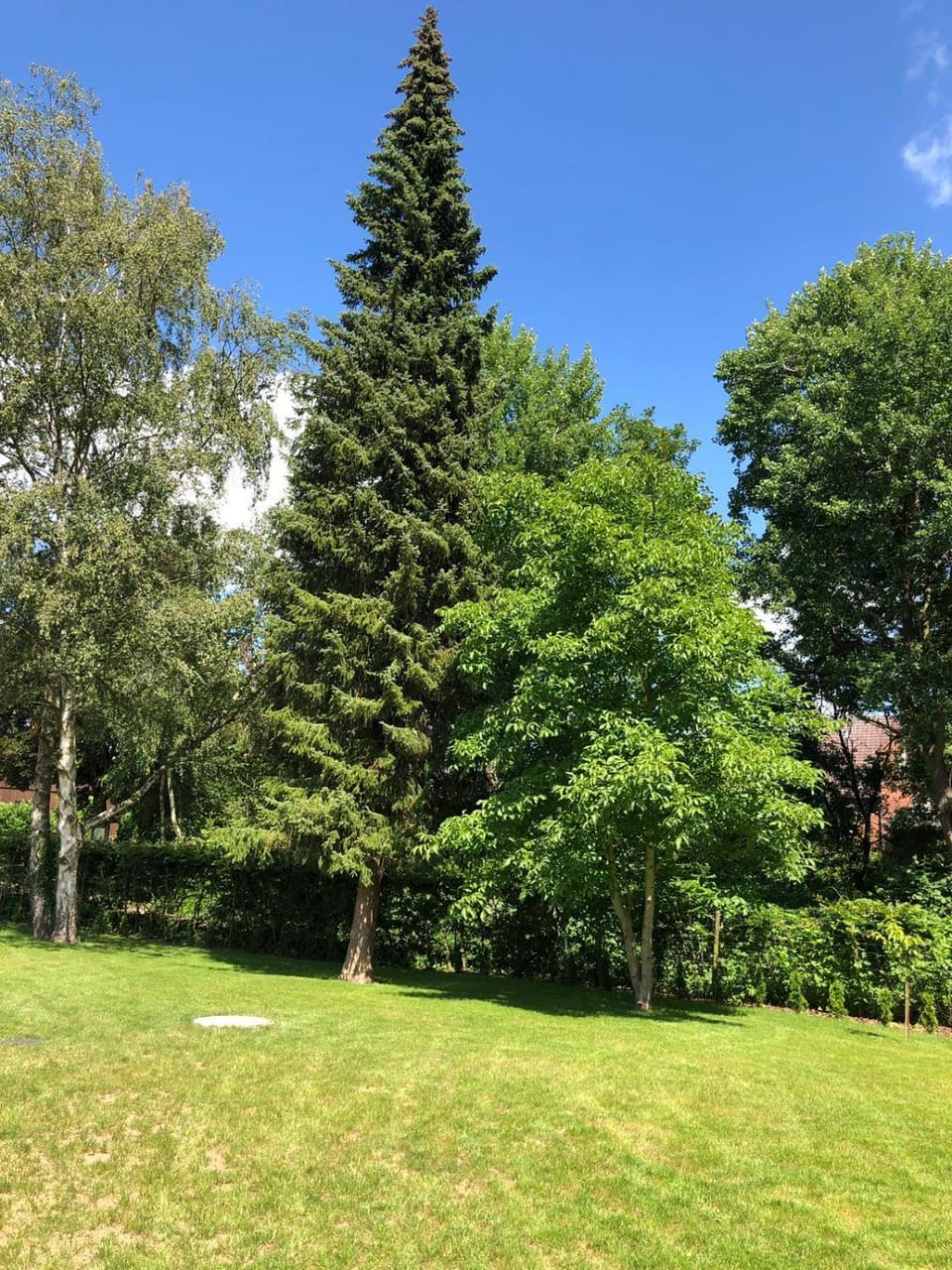 Ferienhaus Bäk-Ratzeburg House in Ratzeburg
