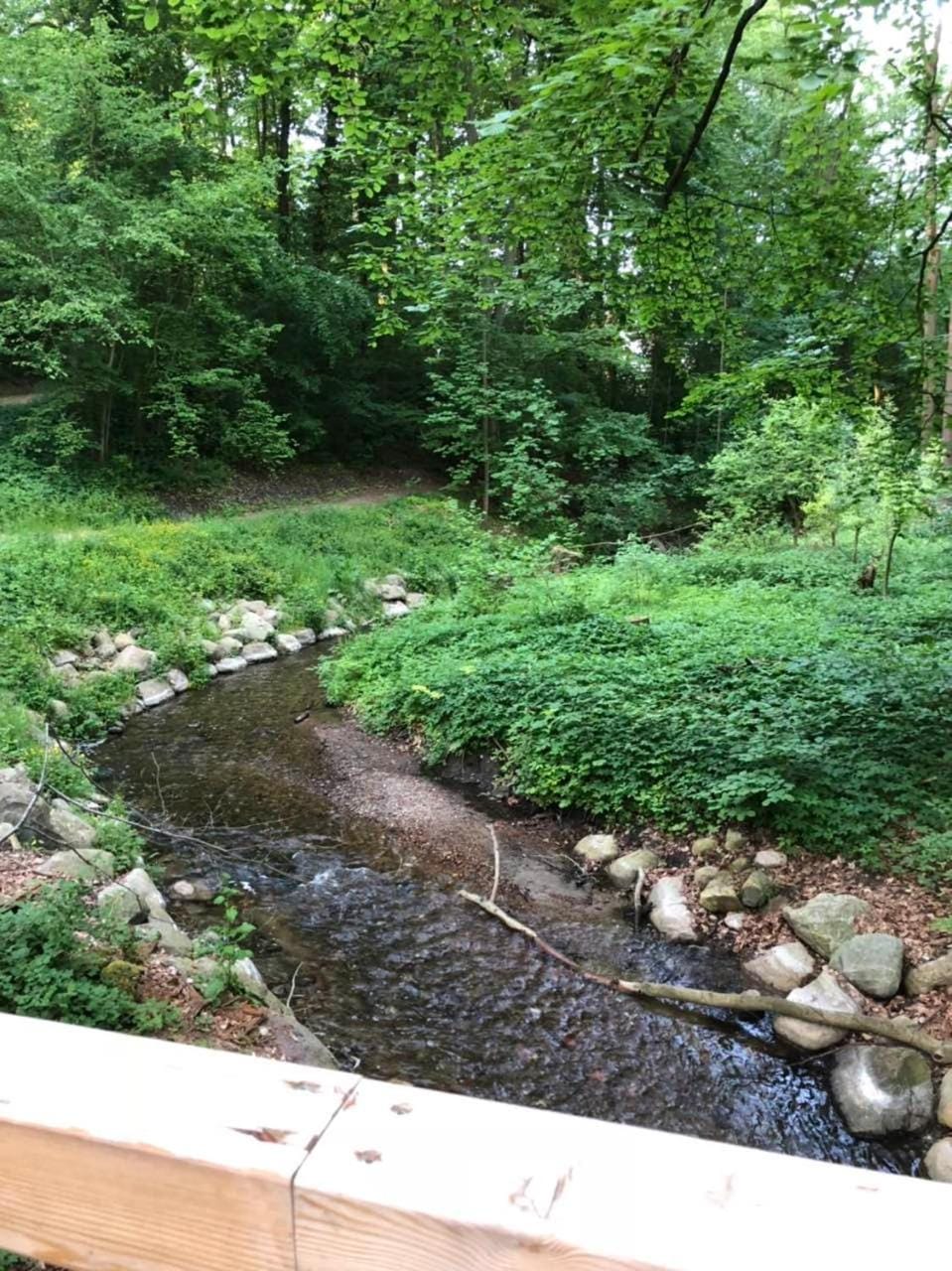 Ferienhaus Bäk-Ratzeburg House in Ratzeburg
