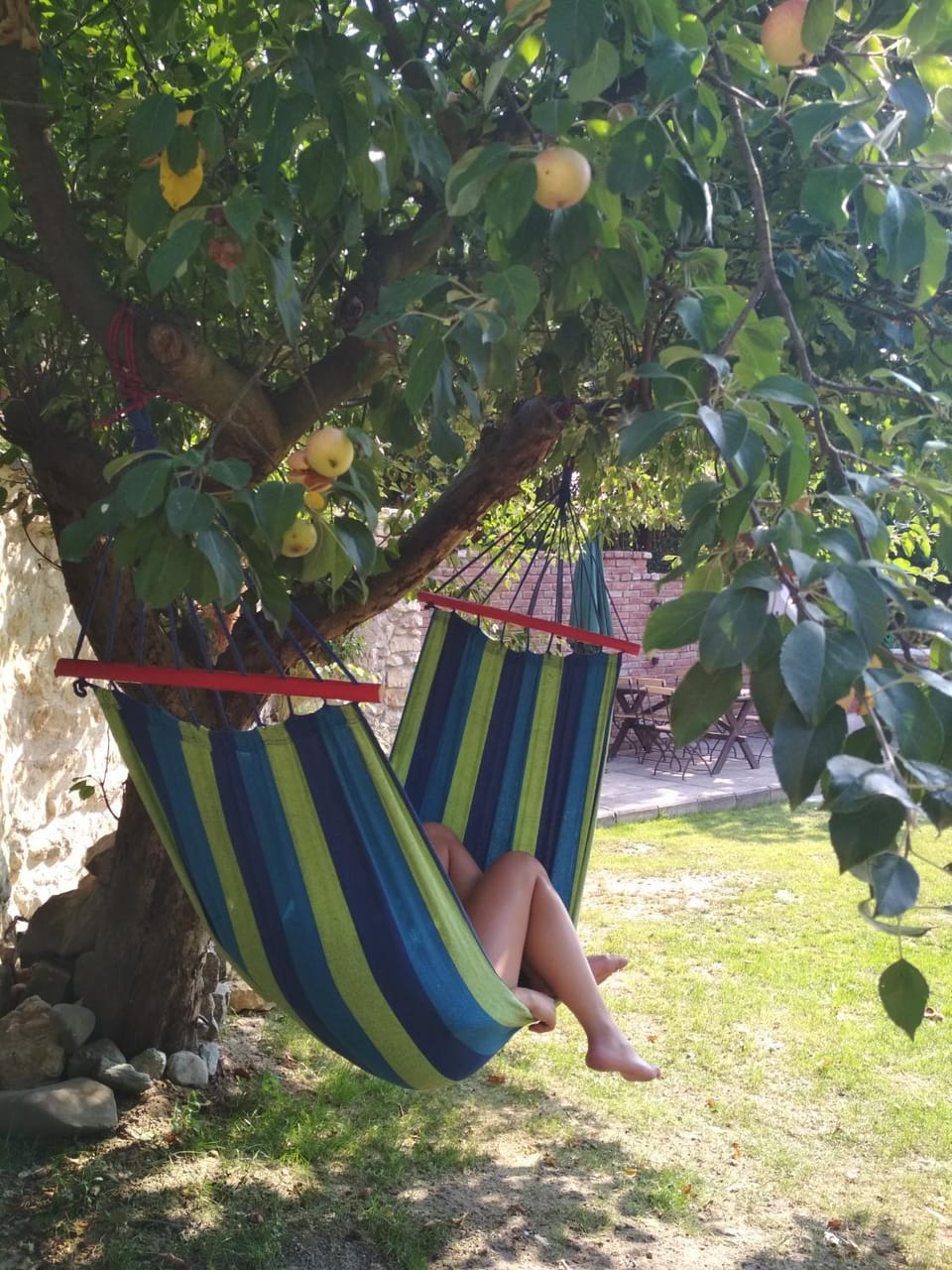 Garden, Entertainment