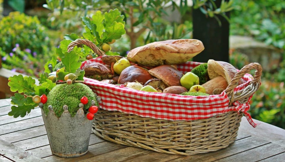 Spring, Summer, Autumn, Food