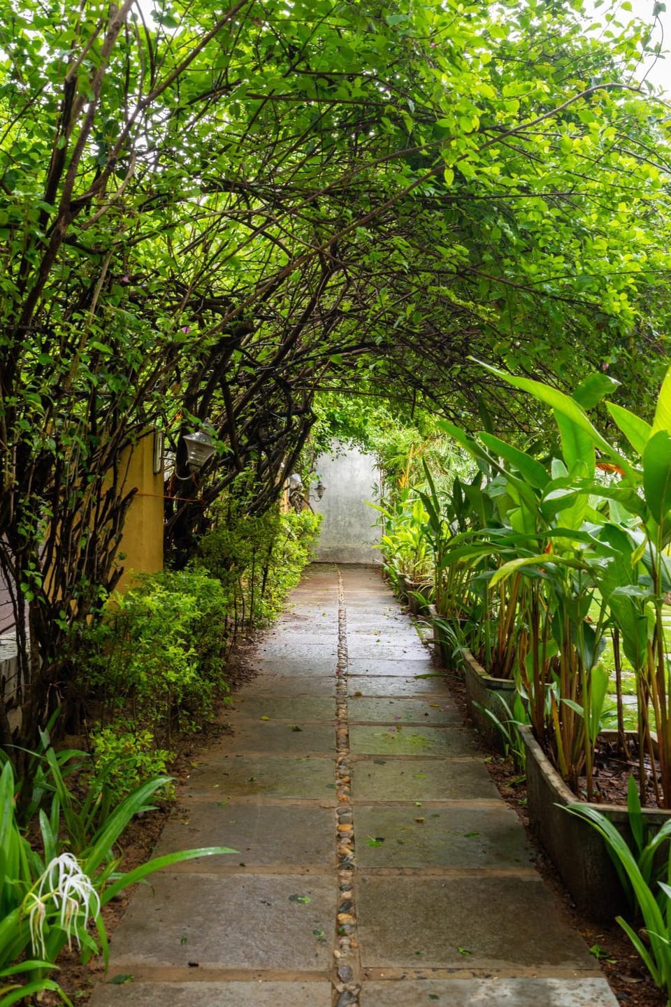 Day, Natural landscape, Garden view