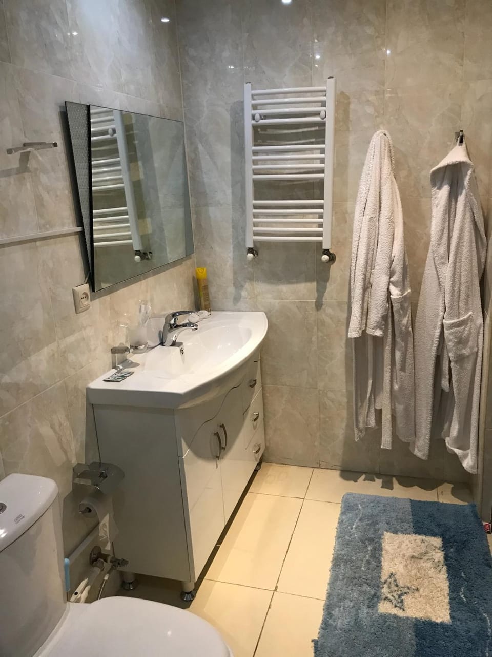 Shower, Toilet, towels