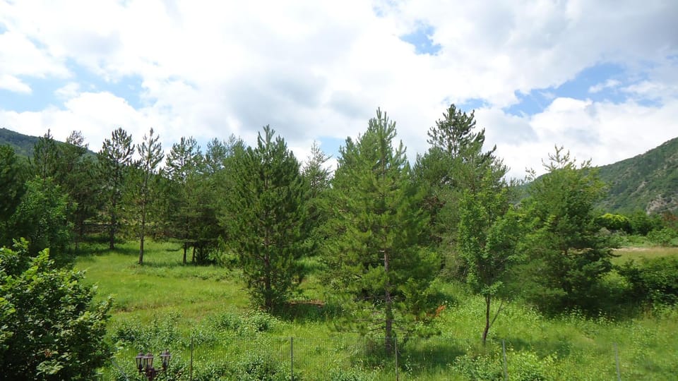 Natural landscape