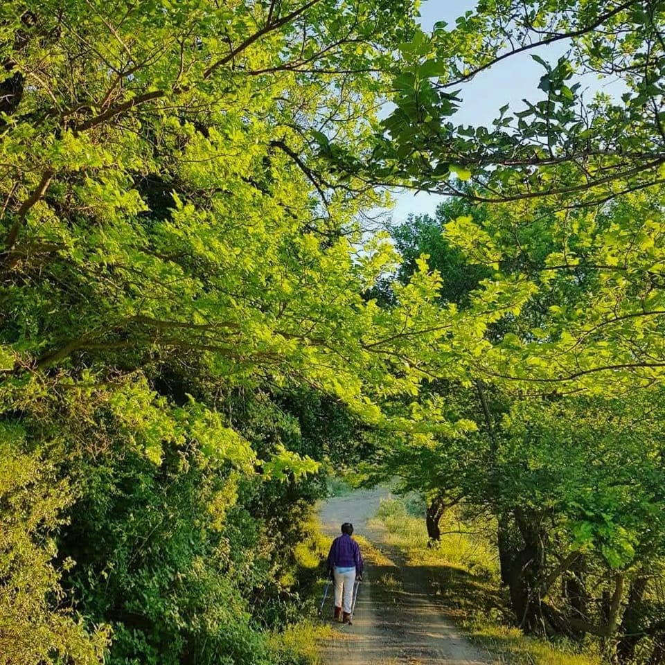 Day, People, Natural landscape, Location, group of guests