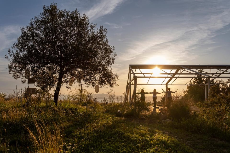 Activities, Garden, Fitness centre/facilities